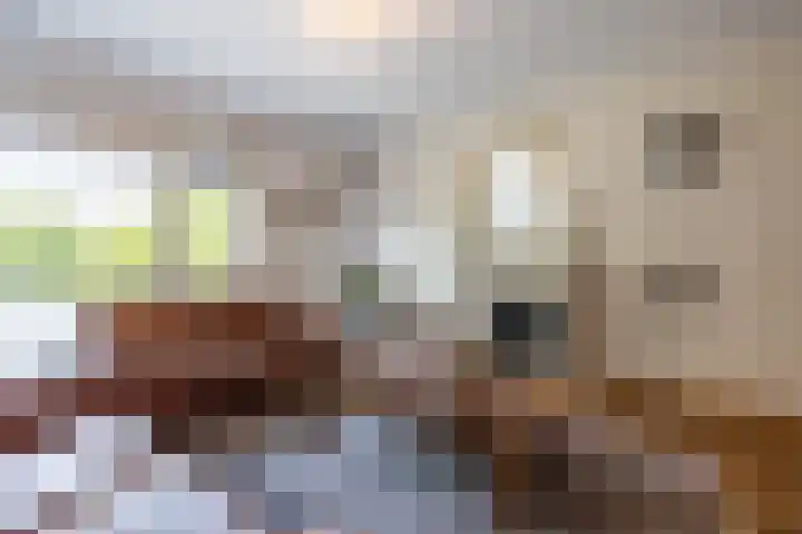 Komkommerstraat 42 Wateringen thumbnail 8