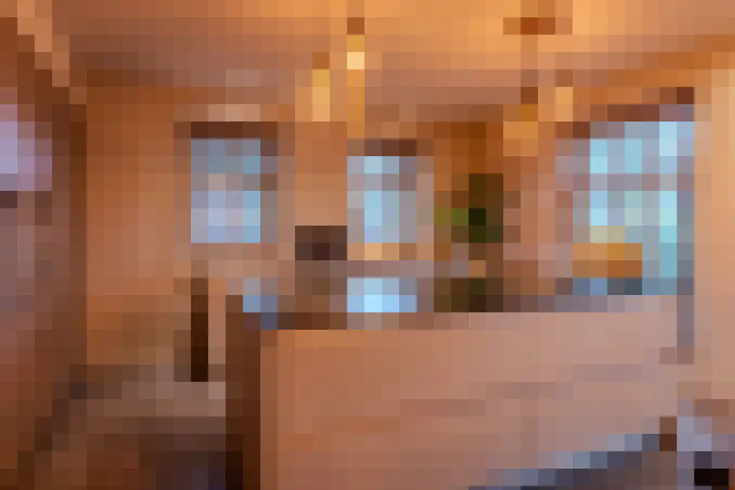 Komlaan 21 Bergen (NH) thumbnail 15