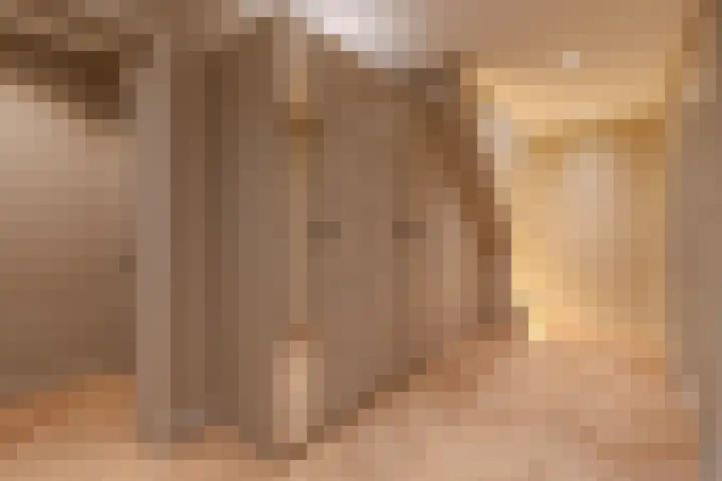 Komlaan 21 Bergen (NH) thumbnail 17