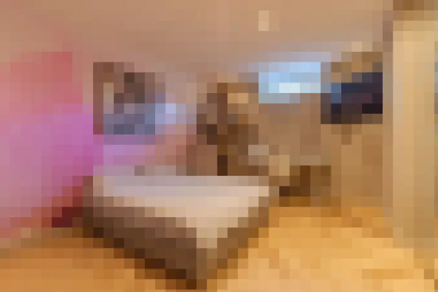 Komlaan 21 Bergen (NH) thumbnail 18
