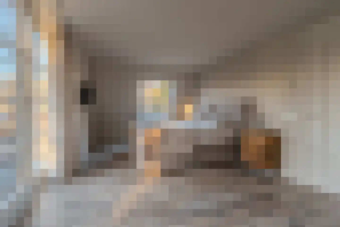 Komlaan 21 Bergen (NH) thumbnail 26