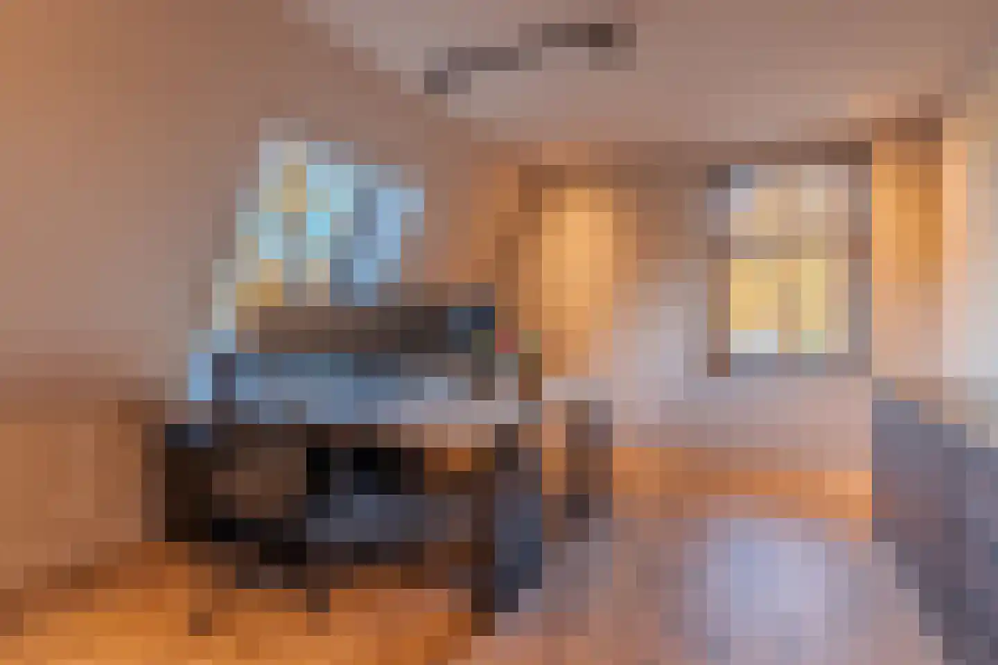 Komlaan 21 Bergen (NH) thumbnail 30