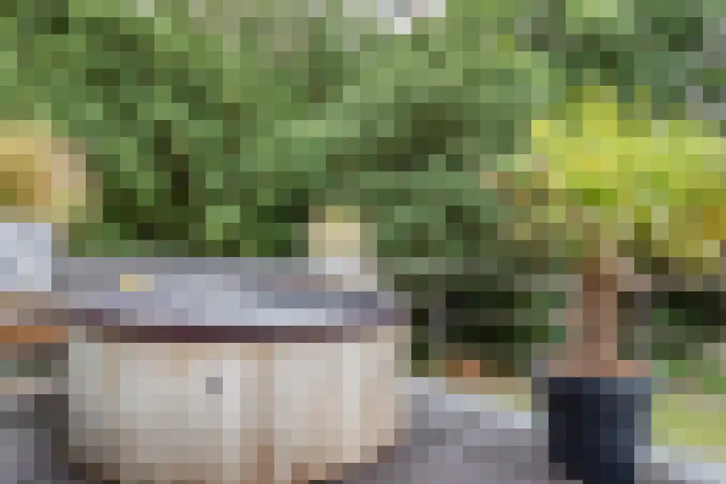 Komlaan 5 Bergen (NH) thumbnail 18
