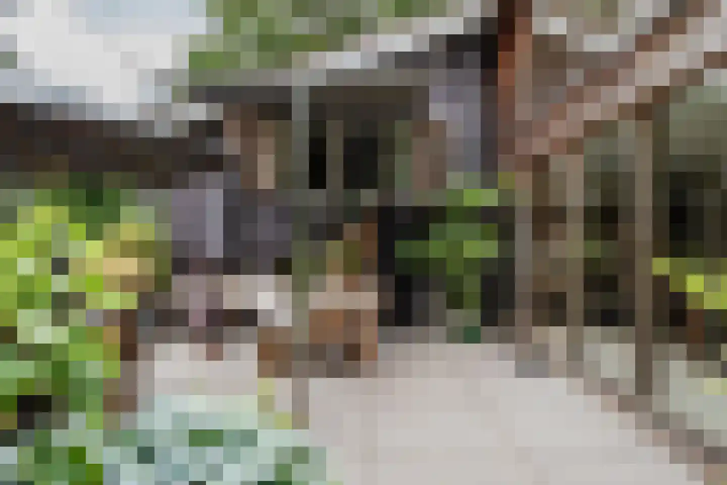 Komlaan 5 Bergen (NH) thumbnail 19
