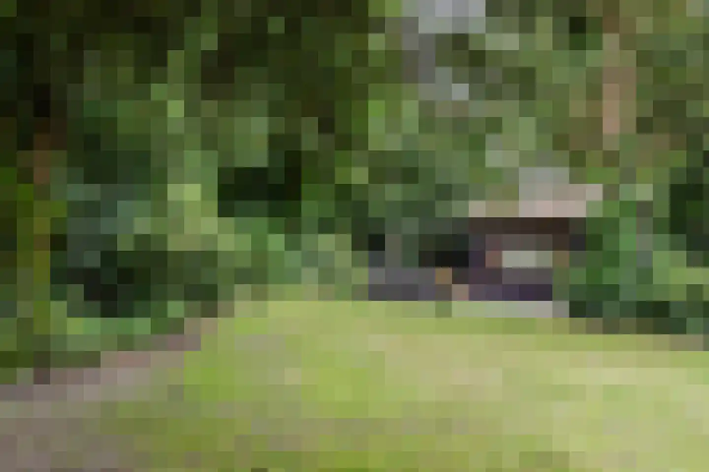 Komlaan 5 Bergen (NH) thumbnail 20