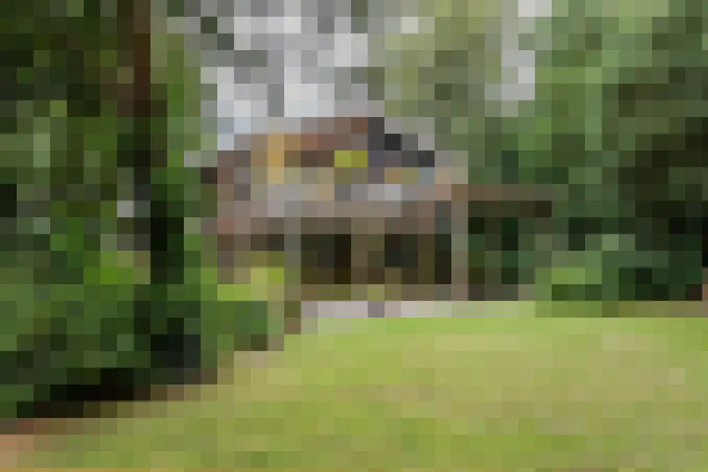 Komlaan 5 Bergen (NH) thumbnail 25