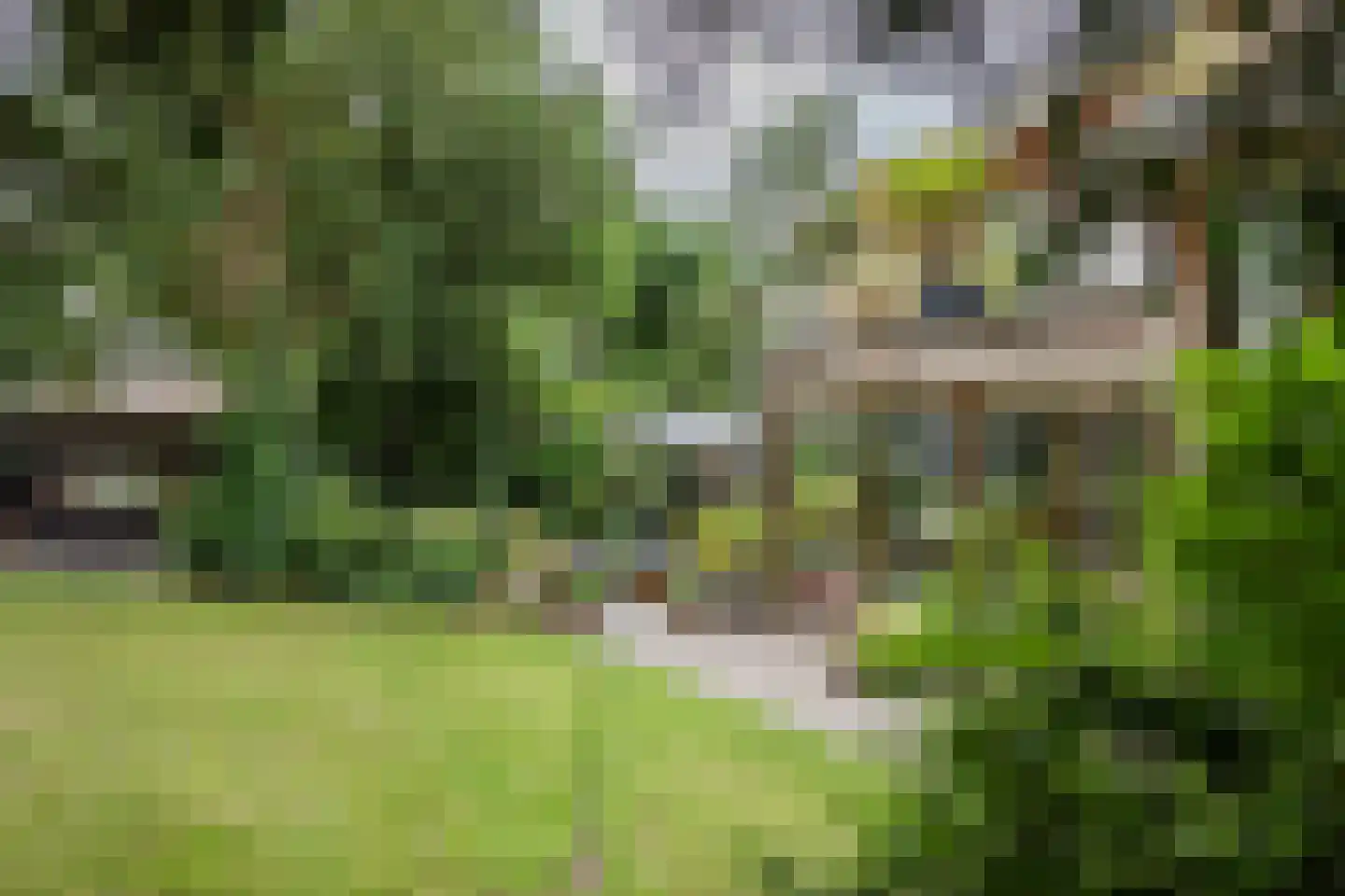 Komlaan 5 Bergen (NH) thumbnail 4