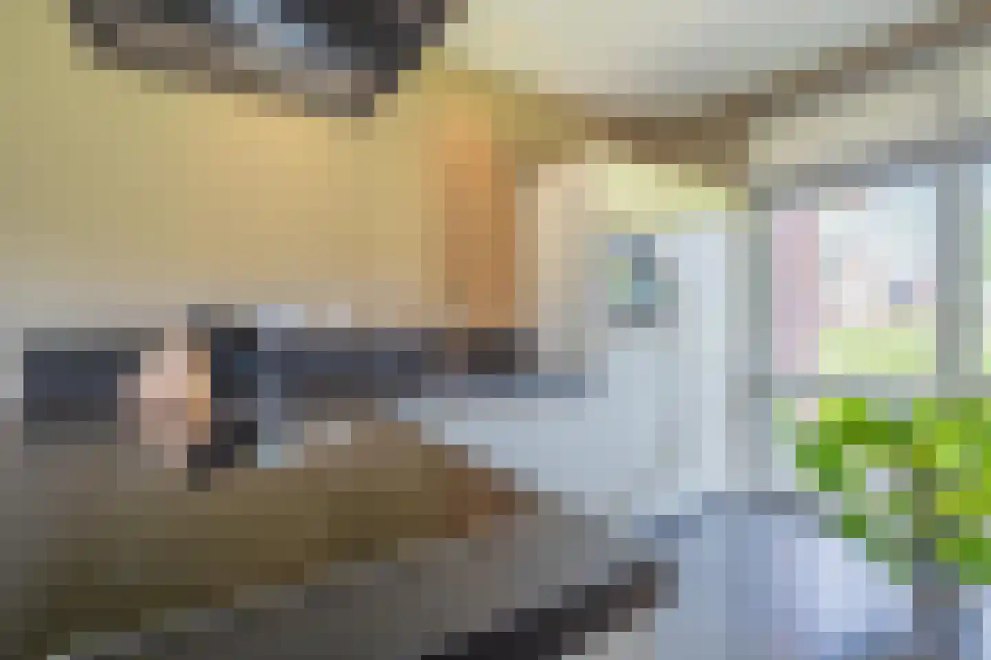 Kommavlinder 11 Tiel thumbnail 20