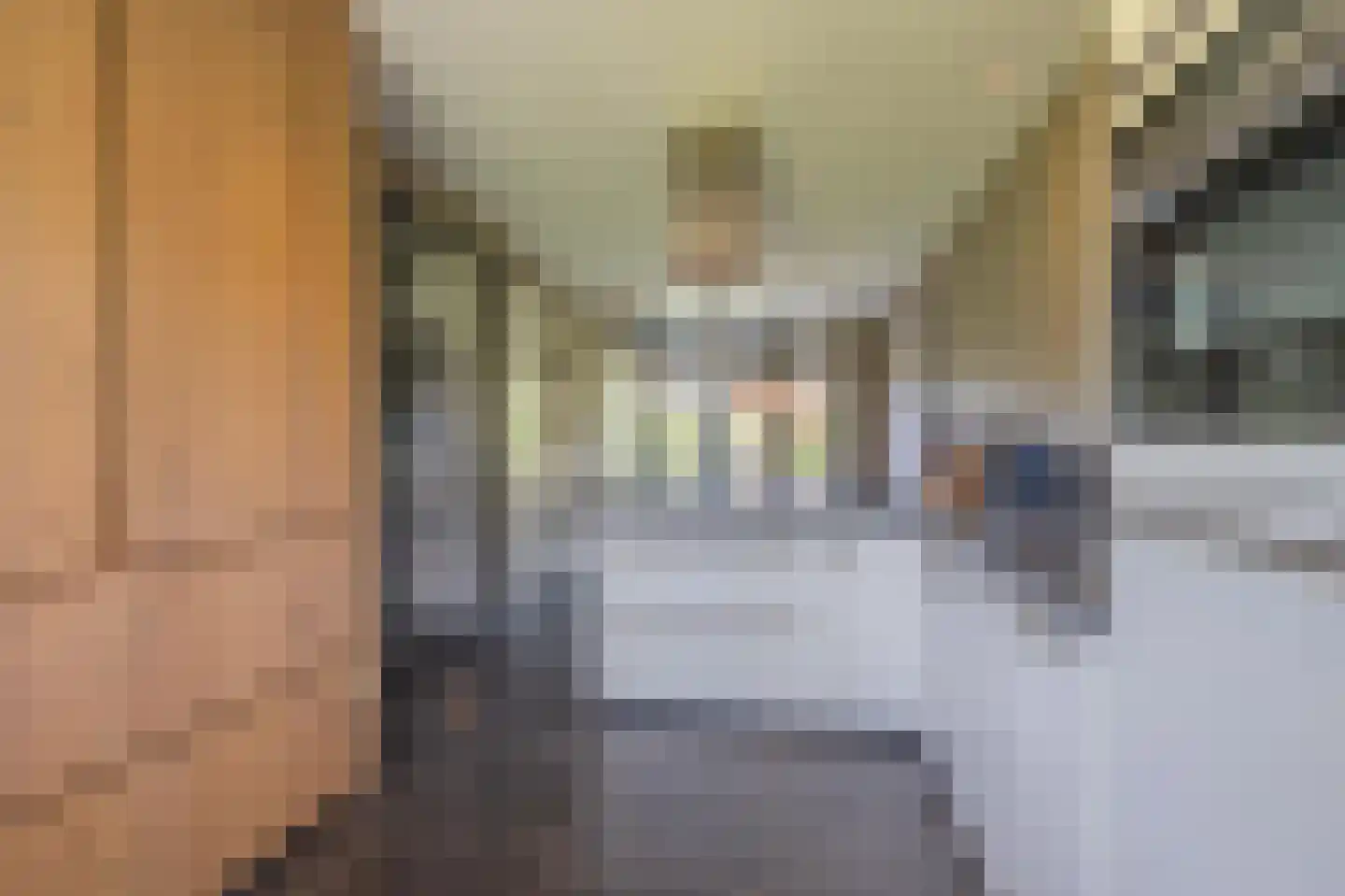 Kommavlinder 11 Tiel thumbnail 21