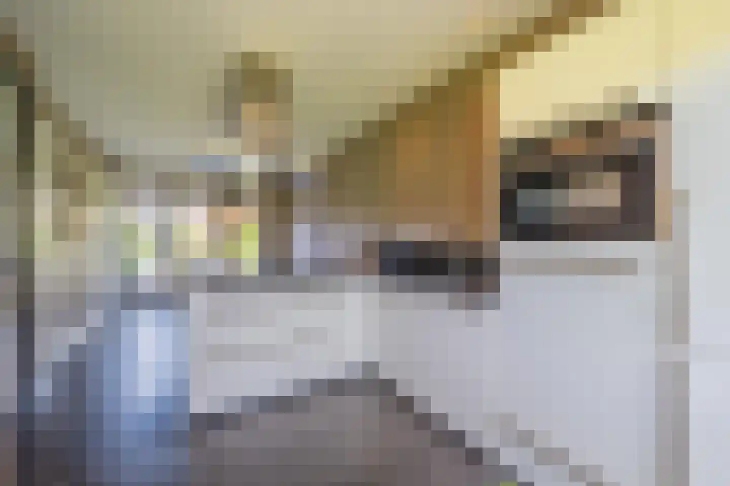 Kommavlinder 11 Tiel thumbnail 23