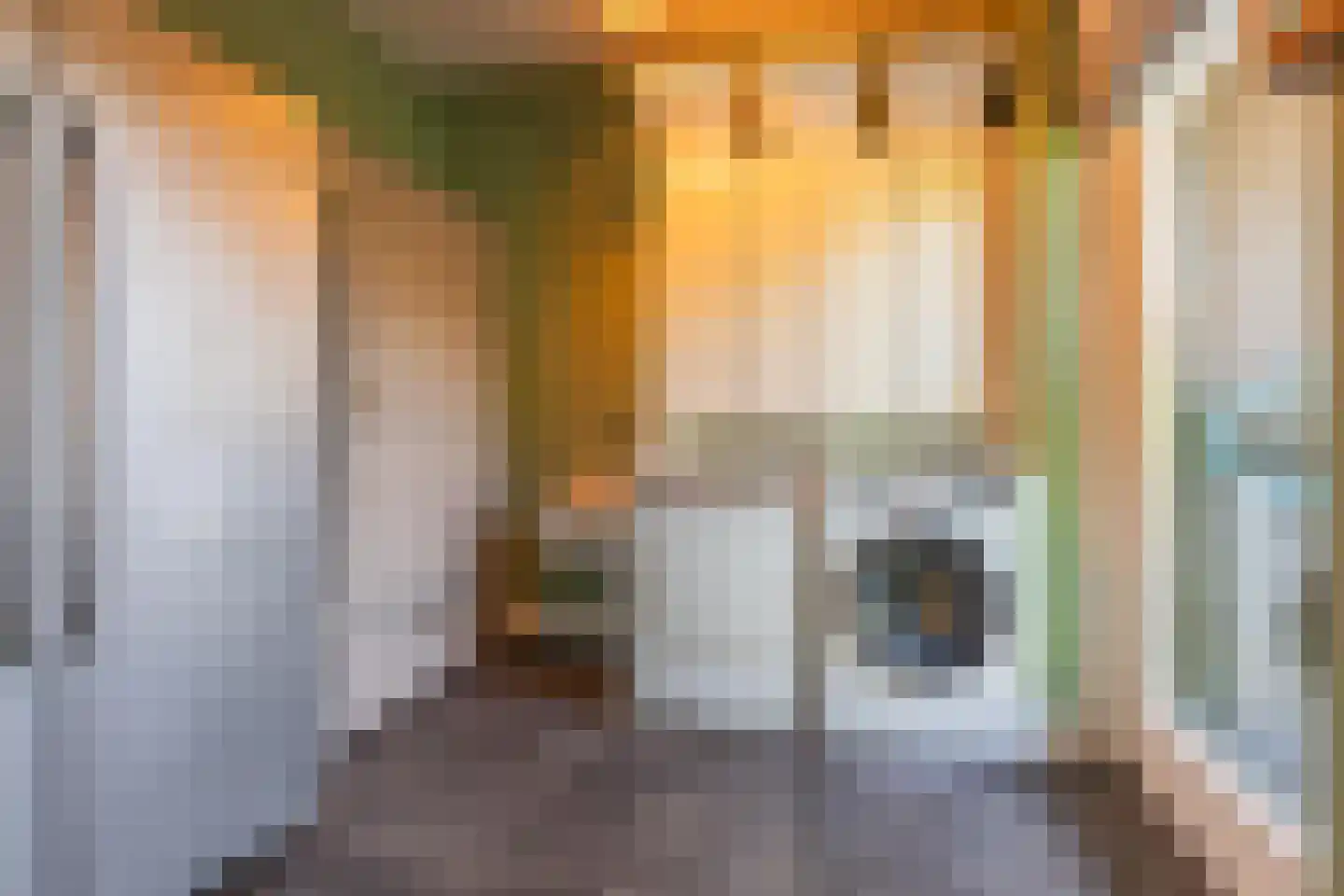 Kommavlinder 11 Tiel thumbnail 24