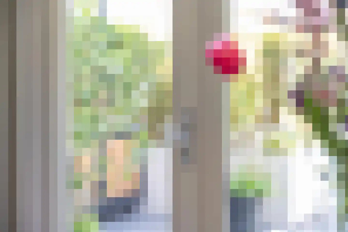 Kommavlinder 11 Tiel thumbnail 26
