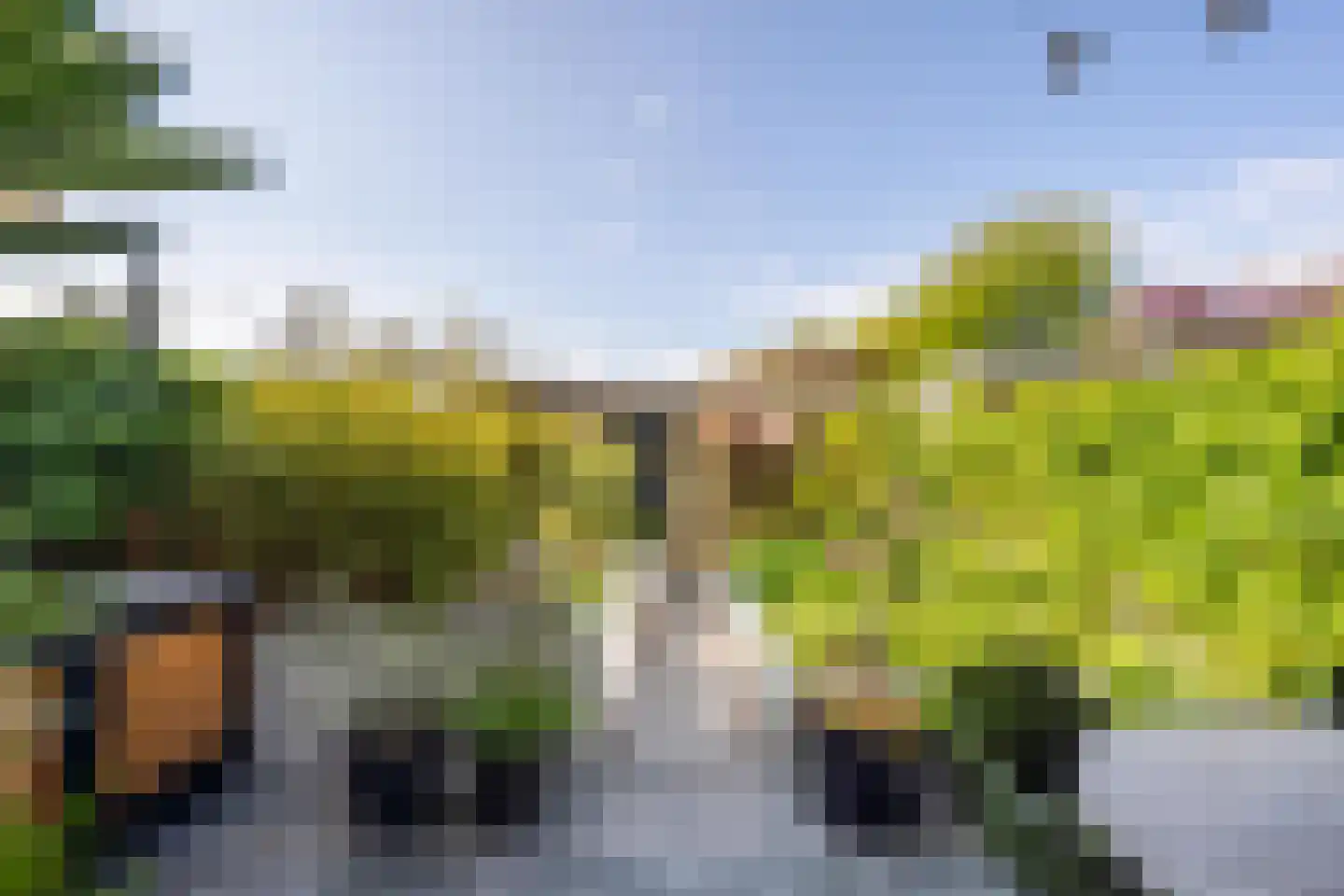 Kommavlinder 11 Tiel thumbnail 28