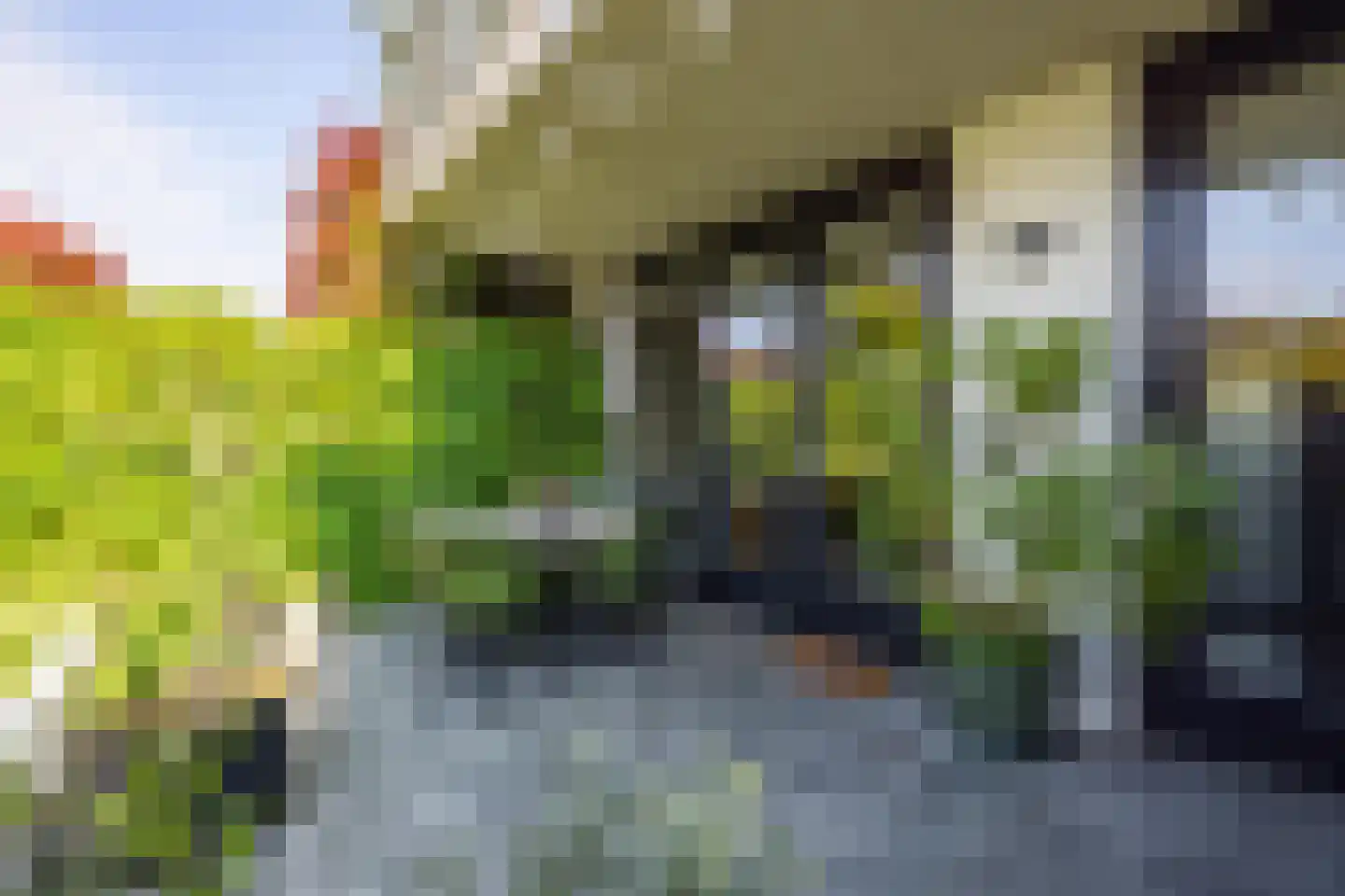 Kommavlinder 11 Tiel thumbnail 29