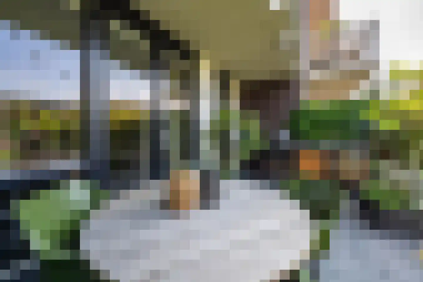 Kommavlinder 11 Tiel thumbnail 30
