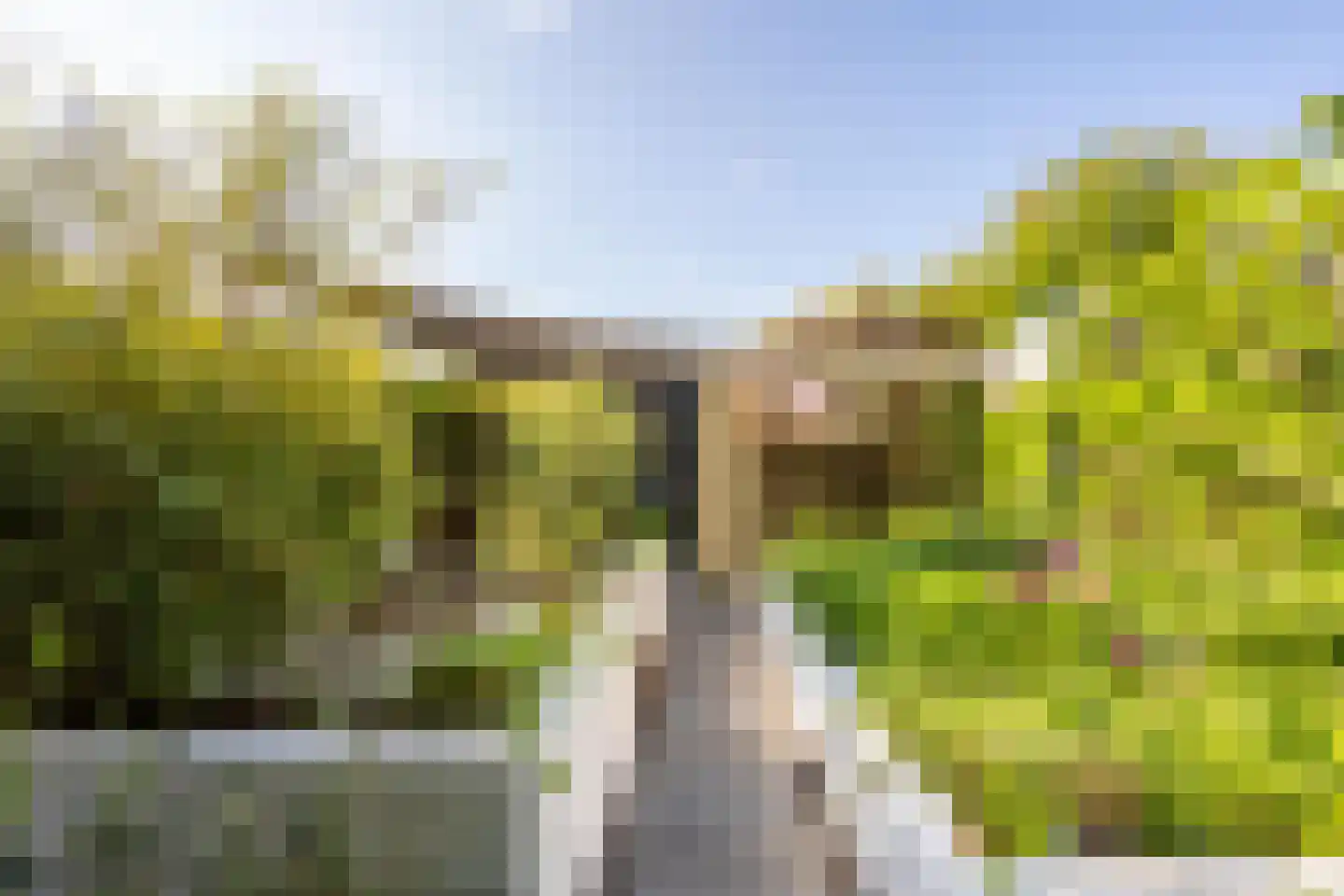 Kommavlinder 11 Tiel thumbnail 33