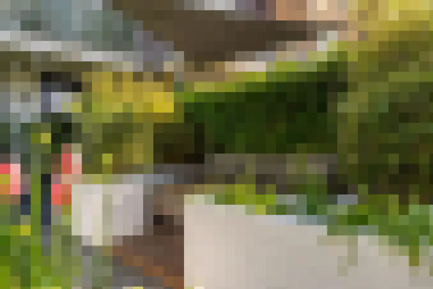Kommavlinder 11 Tiel thumbnail 35