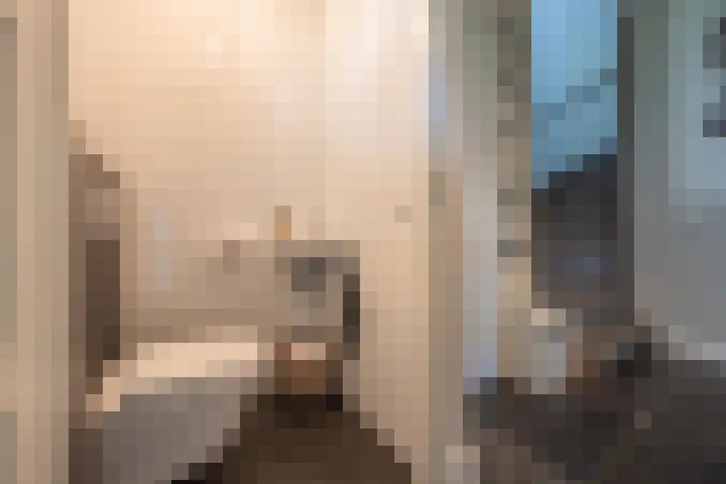 Kommavlinder 11 Tiel thumbnail 43