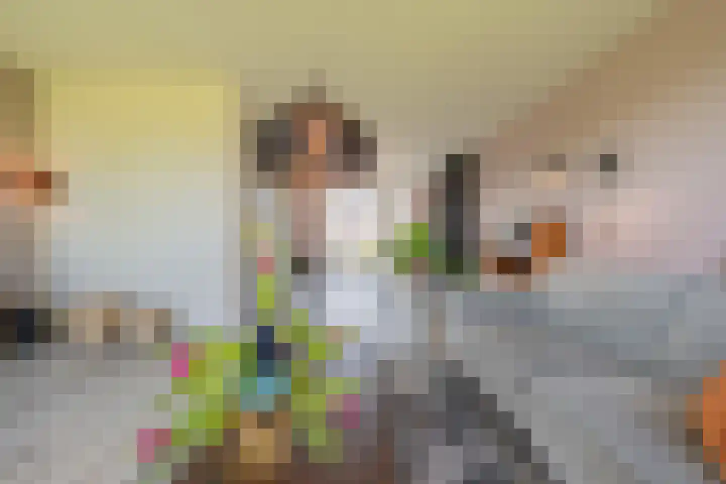 Kommavlinder 11 Tiel thumbnail 49