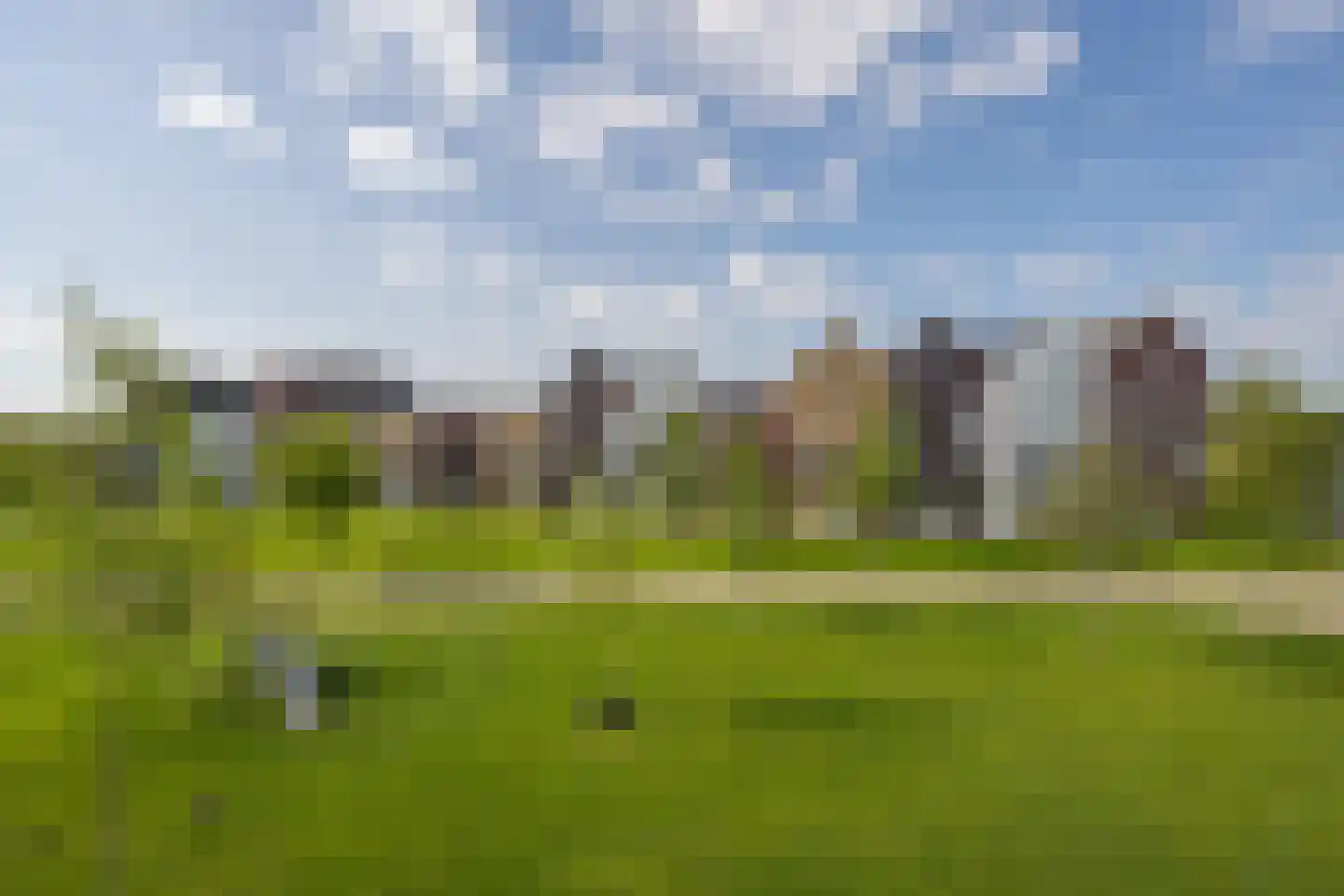 Kommavlinder 11 Tiel thumbnail 5