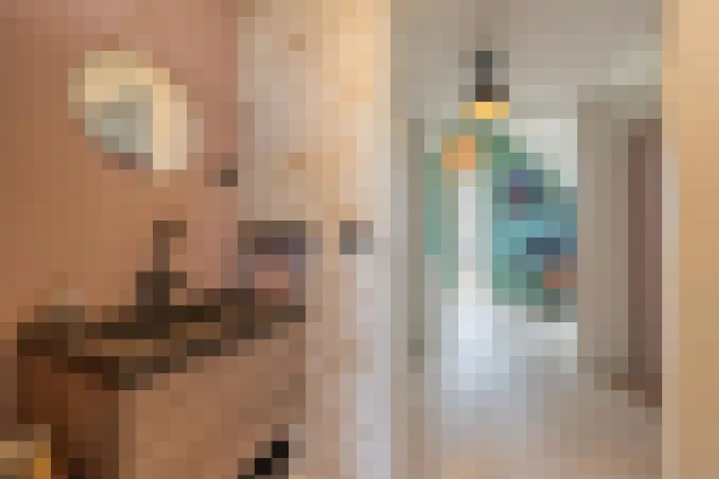 Kommavlinder 11 Tiel thumbnail 77