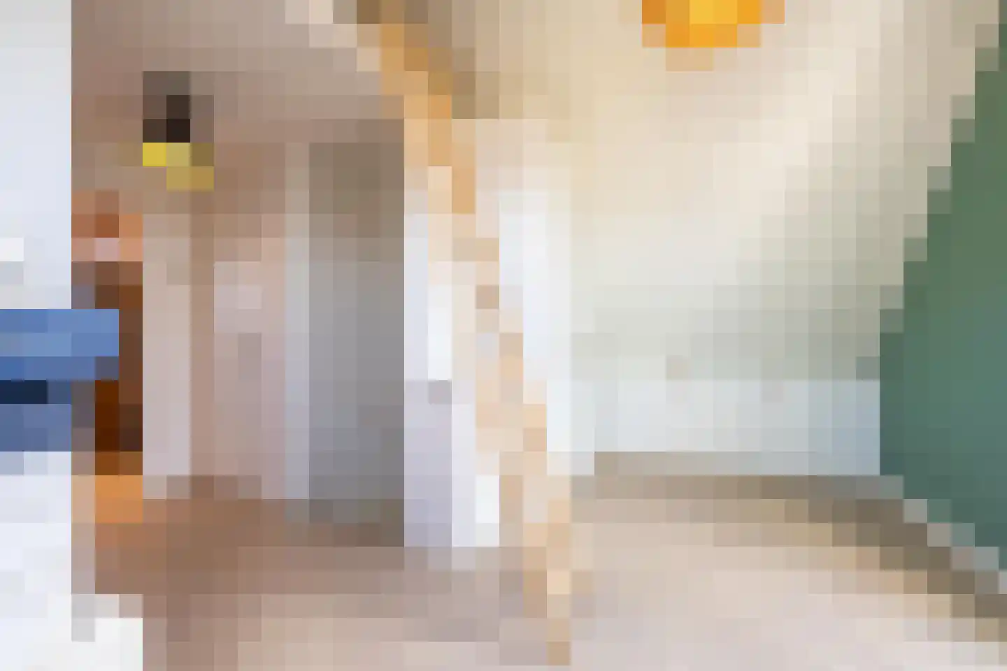 Kommavlinder 11 Tiel thumbnail 80