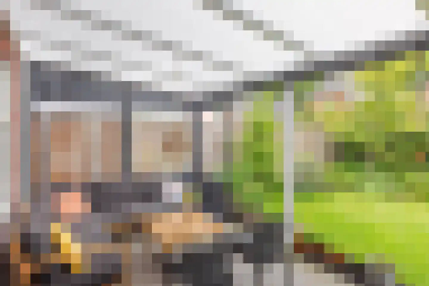 Kommavlinder 27 Wolvega thumbnail 31