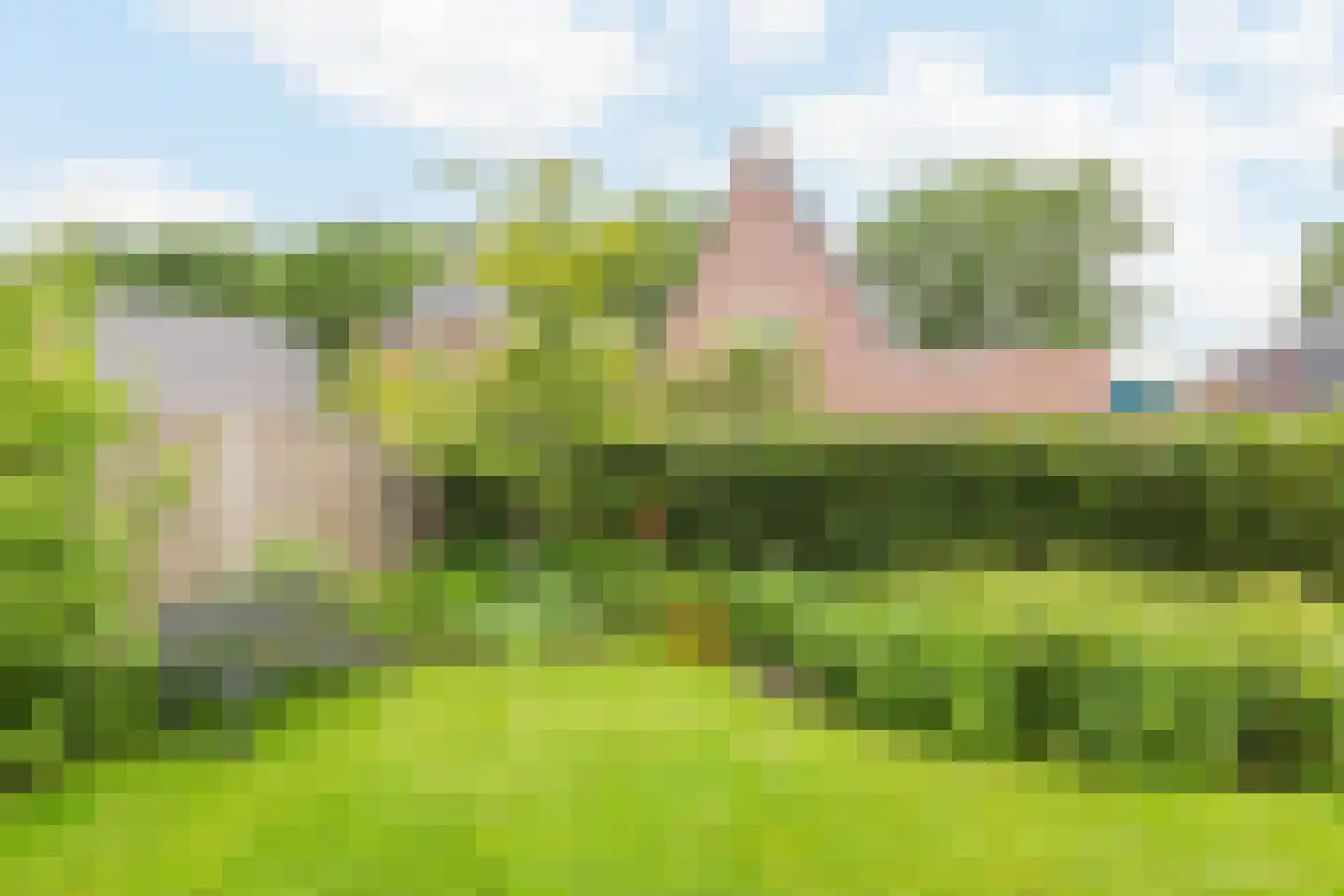 Kommavlinder 27 Wolvega thumbnail 33