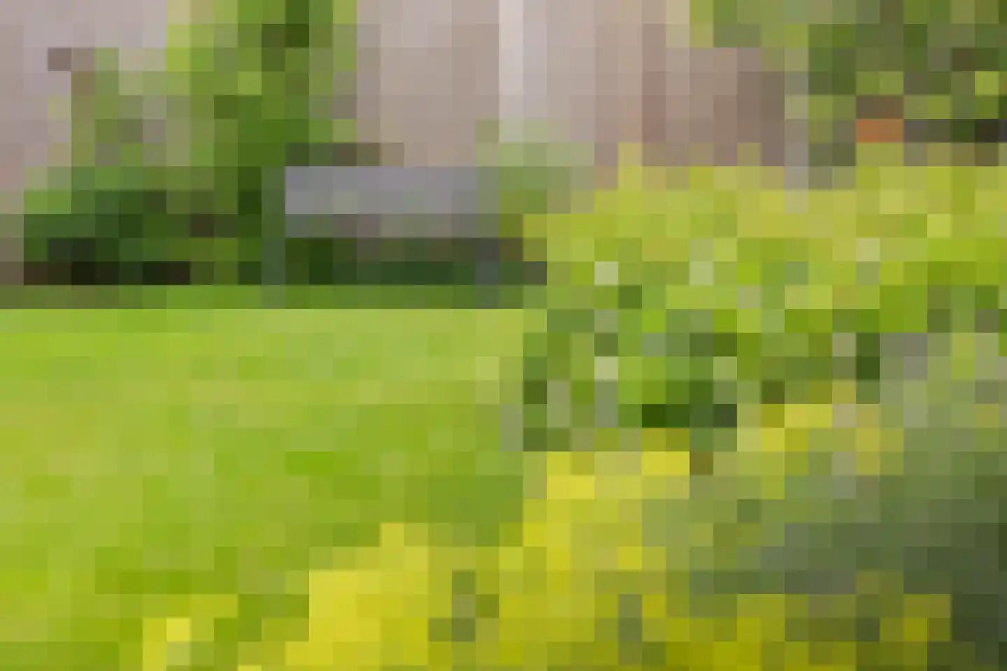 Kommavlinder 27 Wolvega thumbnail 34