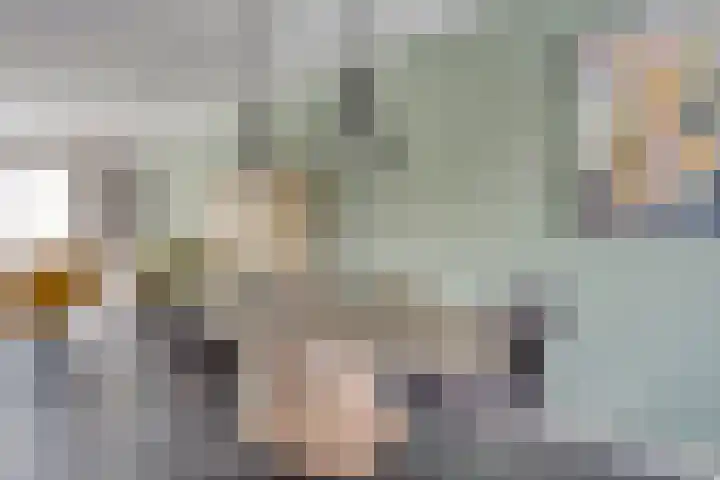 Kommavlinder 35 Wolvega thumbnail 4
