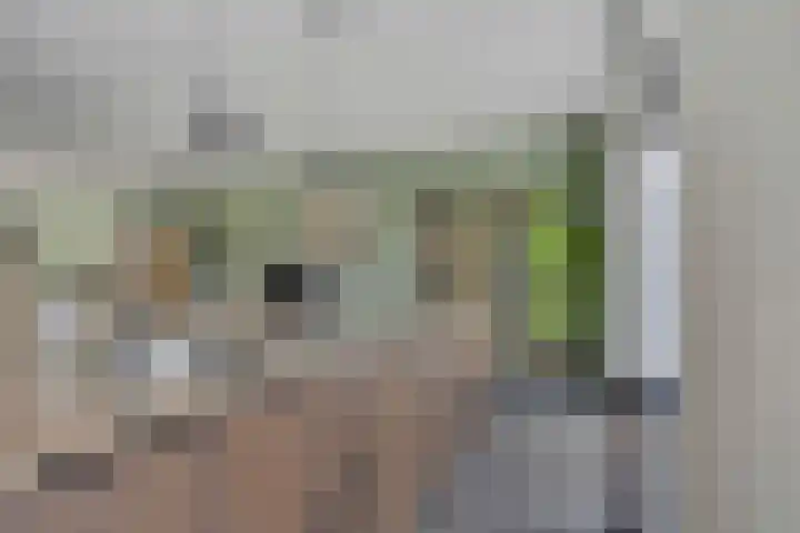 Kommavlinder 35 Wolvega thumbnail 5