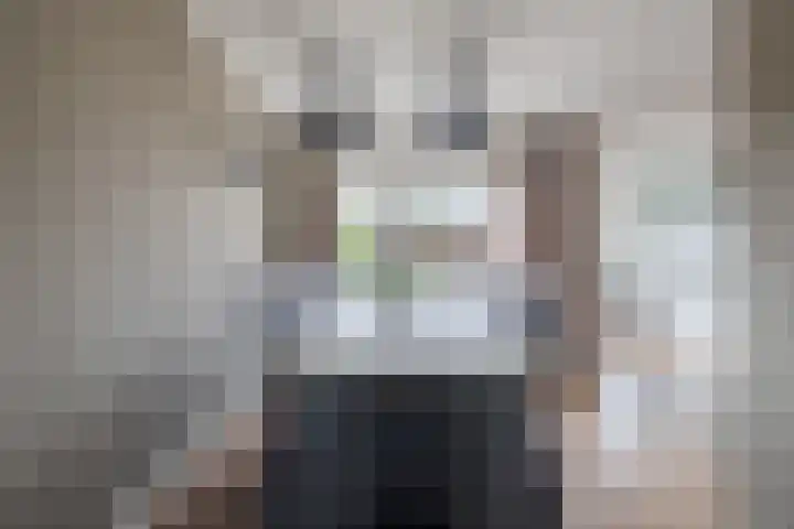 Kommavlinder 9 Hoogeveen thumbnail 10