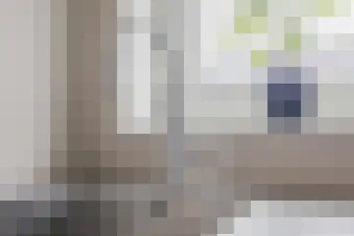 Kommavlinder 9 Hoogeveen thumbnail 13