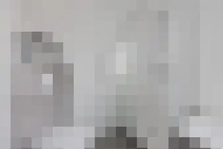 Kommavlinder 9 Hoogeveen thumbnail 25