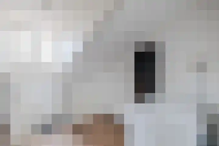 Kommavlinder 9 Hoogeveen thumbnail 34