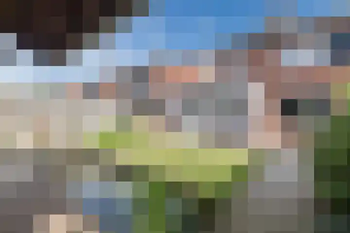 Kommavlinder 9 Hoogeveen thumbnail 38