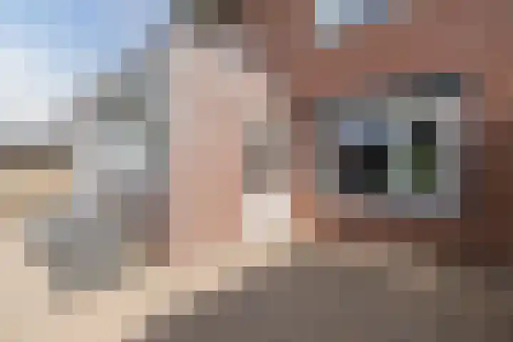Kommavlinder 9 Hoogeveen thumbnail 39
