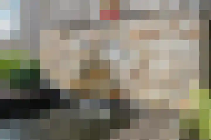 Kommavlinder 9 Hoogeveen thumbnail 42
