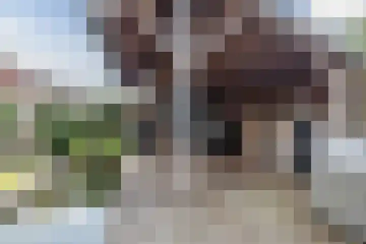 Kommavlinder 9 Hoogeveen thumbnail 44