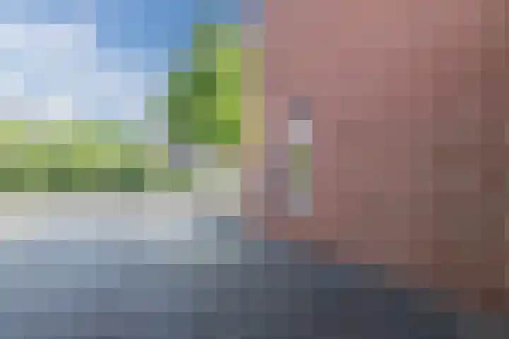 Kommavlinder 9 Hoogeveen thumbnail 47