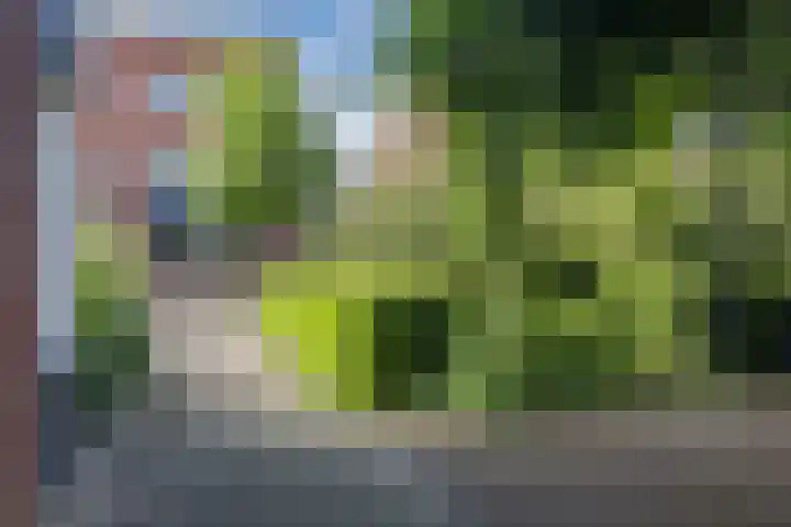 Kommavlinder 9 Hoogeveen thumbnail 48
