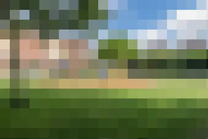 Kommavlinder 9 Hoogeveen thumbnail 51