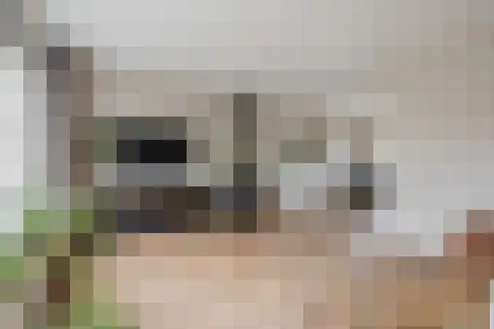 Kommavlinder 9 Hoogeveen thumbnail 7