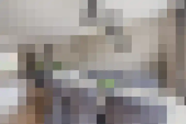 Kommavlinder 9 Hoogeveen thumbnail 9