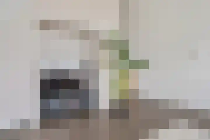 Kommedwarssteeg 85 Doetinchem thumbnail 13