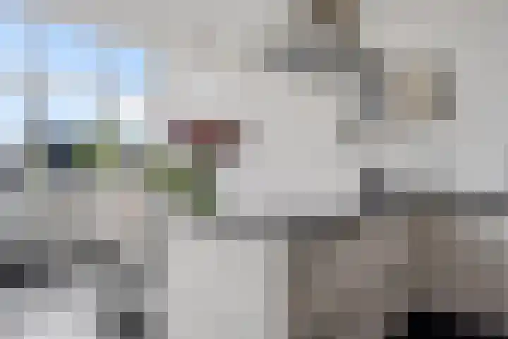Kommedwarssteeg 85 Doetinchem thumbnail 29