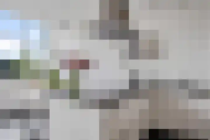 Kommedwarssteeg 85 Doetinchem thumbnail 6
