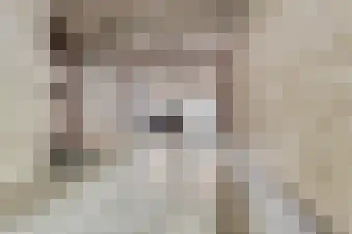 Kommel 16 Maastricht thumbnail 7