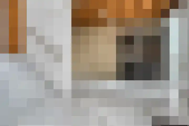 Kommel 16 Maastricht thumbnail 9