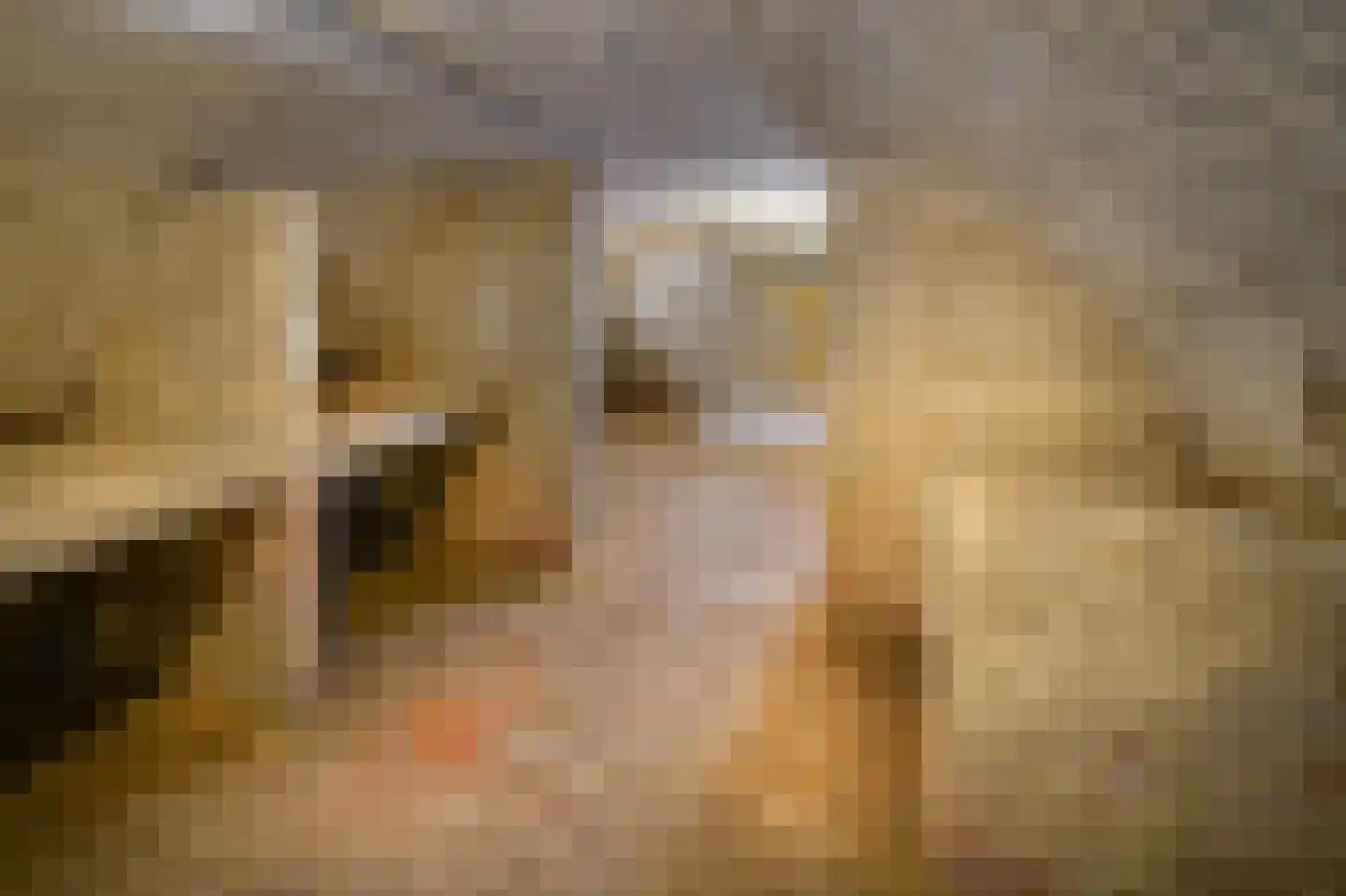 Kommelderweg 1 Geulle thumbnail 27